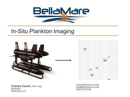 In-Situ Plankton Imaging