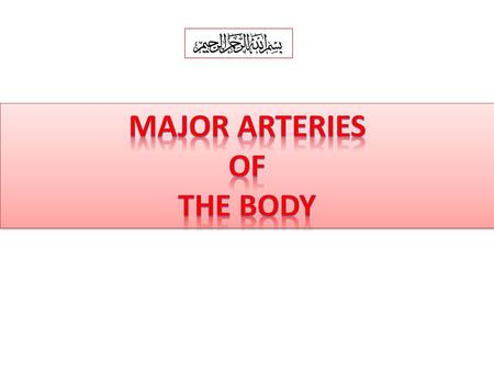 Major arteries of the body.