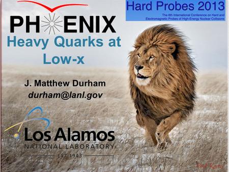 Matt Durham - Hard Probes 2013 1 Heavy Quarks at Low-x J. Matthew Durham