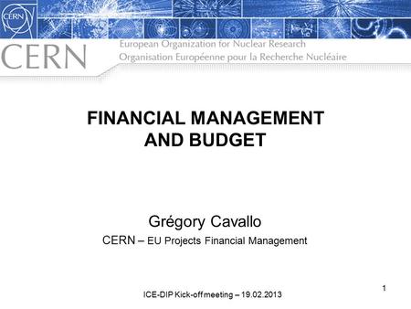 FINANCIAL MANAGEMENT AND BUDGET Grégory Cavallo CERN – EU Projects Financial Management 1 ICE-DIP Kick-off meeting – 19.02.2013.
