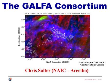 AUSAC Meeting · March 9 & 10, 2009 Chris Salter (NAIC – Arecibo) The GALFA Consortium GALFA-HI and GALFACTS (Courtesy: Steven Gibson)