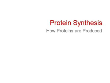 How Proteins are Produced