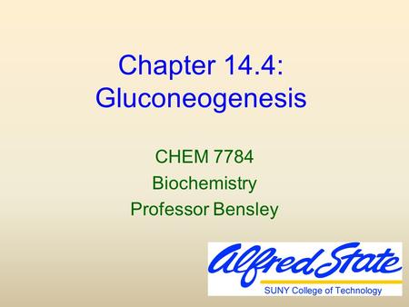 Chapter 14.4: Gluconeogenesis CHEM 7784 Biochemistry Professor Bensley.