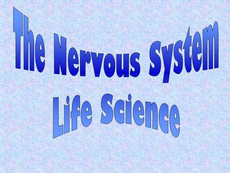 It has two basic functions: gathers and interprets information, and responses to it The nervous system is made of: The brainThe spinal cord The nervesThe.