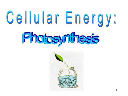 Cellular Energy: Photosynthesis.