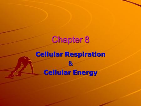 Chapter 8 Cellular Respiration & Cellular Energy.