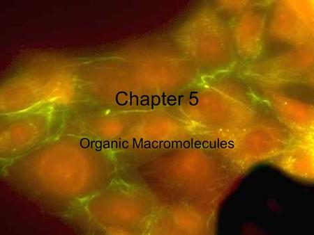 Chapter 5 Organic Macromolecules. Polymerization is… –the forming of large organic compounds (polymers) by the joining of smaller repeating units called.