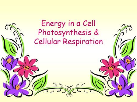 Energy in a Cell Photosynthesis & Cellular Respiration