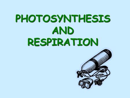 PHOTOSYNTHESIS AND RESPIRATION. Energy comes from the food we eat Energy is stored in bonds Living organisms refer to their energy as ATP (energy currency)