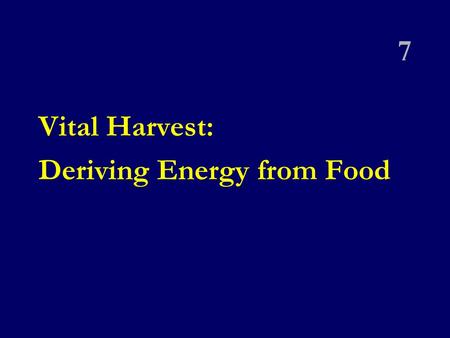 7 Vital Harvest: Deriving Energy from Food.