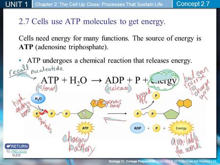 2.7 Cells use ATP molecules to get energy. Cells need energy for many functions. The source of energy is ATP (adenosine triphosphate). ATP undergoes a.