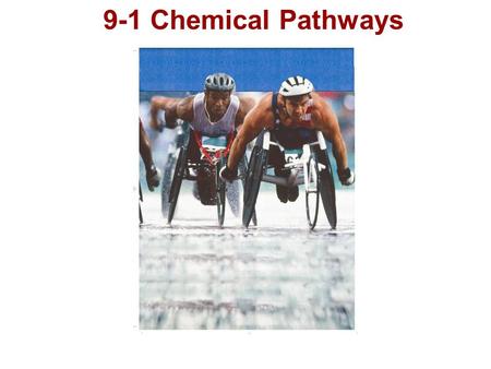 9-1 Chemical Pathways Photo Credit: Duomo Photography, Inc.