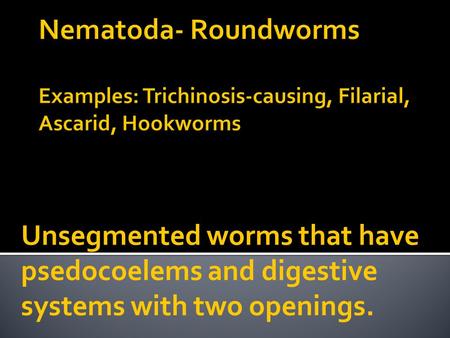 Unsegmented worms that have psedocoelems and digestive systems with two openings.