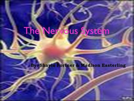 By: Shayla Fortner & Madison Easterling The Nervous System.