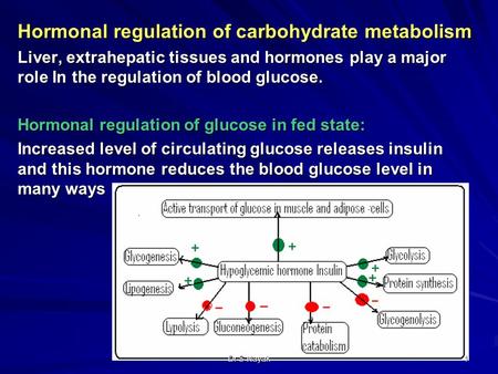 Hormonal regulation of carbohydrate metabolism