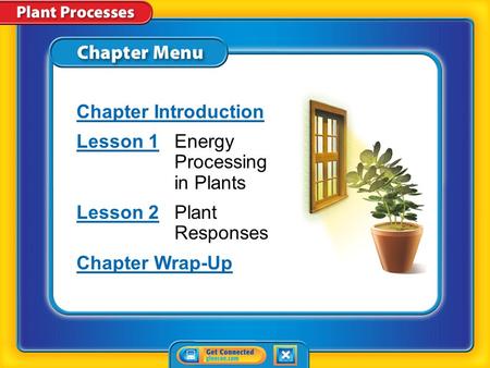 Chapter Menu Chapter Introduction Lesson 1Lesson 1Energy Processing in Plants Lesson 2Lesson 2Plant Responses Chapter Wrap-Up.
