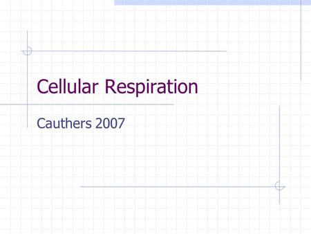 Cellular Respiration Cauthers 2007 Energy What are some types of energy we use everyday? Living things require chemical energy stored within their food.