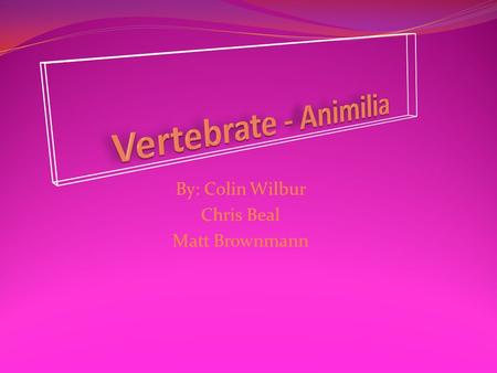 By: Colin Wilbur Chris Beal Matt Brownmann. Important Vocabulary Vertebrate:An animal of a large group distinguished by the possession of a backbone or.