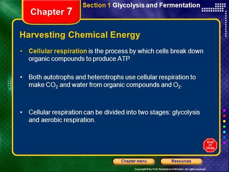 Copyright © by Holt, Rinehart and Winston. All rights reserved. ResourcesChapter menu Chapter 7 Harvesting Chemical Energy Cellular respiration is the.
