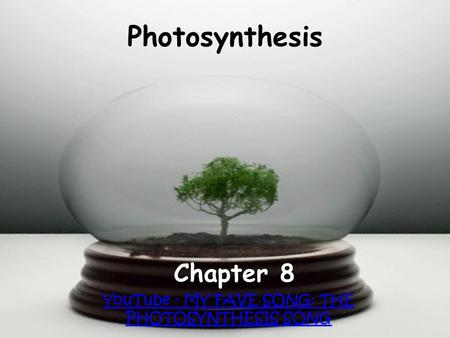 Chapter 8 YouTube - MY FAVE SONG: THE PHOTOSYNTHESIS SONG