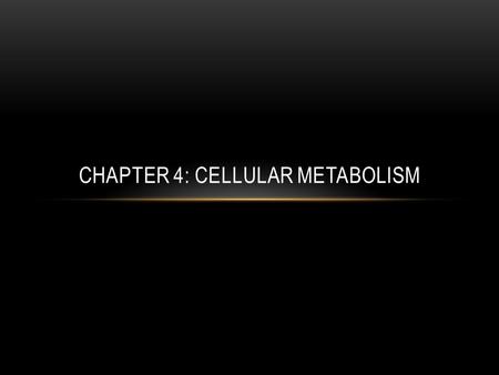 Chapter 4: Cellular metabolism