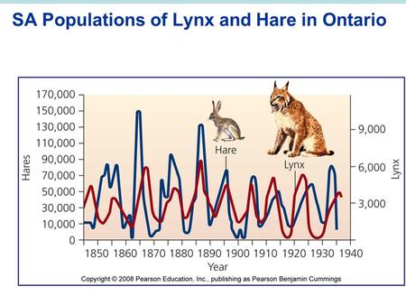 SA Populations of Lynx and Hare in Ontario. Environmental Systems and Ecosystem Ecology.