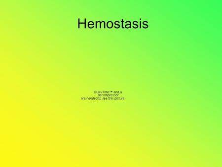 Hemostasis. Hemostasis Definition Prevention of blood loss (stoppage of blood flow)
