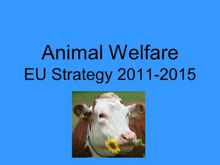 Animal Welfare EU Strategy 2011-2015. Introduction Community Action Plan 2006-2010 The Commission's commitment to EU citizens, stakeholders, the EP and.