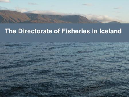 The Directorate of Fisheries in Iceland. D I R E C T O R A T E O F F I S H E R I E S Directorate of Fisheries Fisheries Marine Research Institute Institute.
