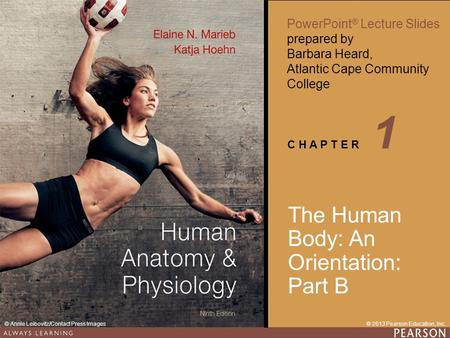 1 The Human Body: An Orientation: Part B.