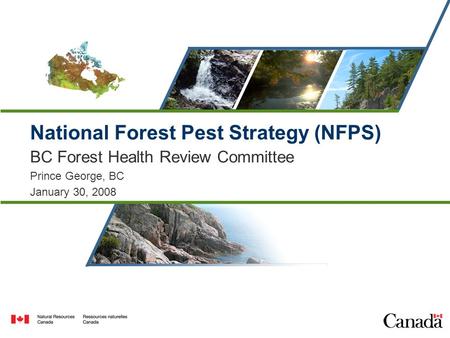 Canada’s Natural Resources – Now and for the Future National Forest Pest Strategy (NFPS) BC Forest Health Review Committee Prince George, BC January 30,