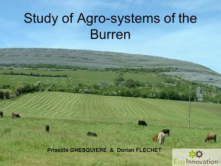 Study of Agro-systems of the Burren Priscille GHESQUIERE & Dorian FLECHET.