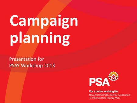 Campaign planning Presentation for PSAY Workshop 2013.