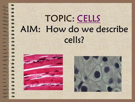 TOPIC: CELLSCELLS AIM: How do we describe cells?.