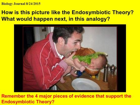 Biology Journal 8/24/2015 How is this picture like the Endosymbiotic Theory? What would happen next, in this analogy? Remember the 4 major pieces of evidence.
