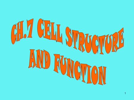 CH.7 CELL STRUCTURE AND FUNCTION.