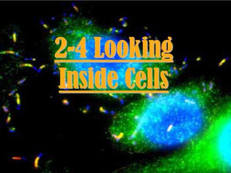 2-4 Looking Inside Cells.