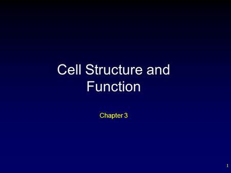 1 Chapter 3 Cell Structure and Function. 2 Outline Cellular Organization – Plasma Membrane  Functions – Nucleus – Endomembrane System – Cytoskeleton.