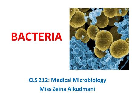 BACTERIA CLS 212: Medical Microbiology Miss Zeina Alkudmani.