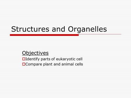 Structures and Organelles Objectives  Identify parts of eukaryotic cell  Compare plant and animal cells.