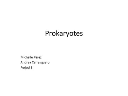 Prokaryotes Michelle Perez Andrea Carrasquero Period 3.