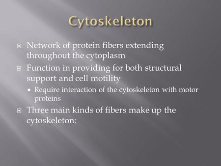  Network of protein fibers extending throughout the cytoplasm  Function in providing for both structural support and cell motility  Require interaction.