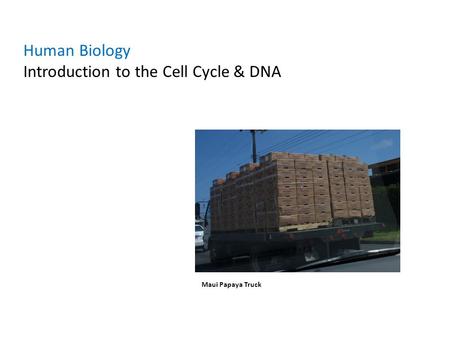 Introduction to the Cell Cycle & DNA