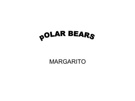 MARGARITO. The polar bear is one of eight bear species. Its Latin name is Ursus maritimus, which means” sea bear.