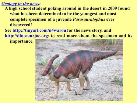 A high school student poking around in the desert in 2009 found what has been determined to be the youngest and most complete specimen of a juvenile Parasauralophus.