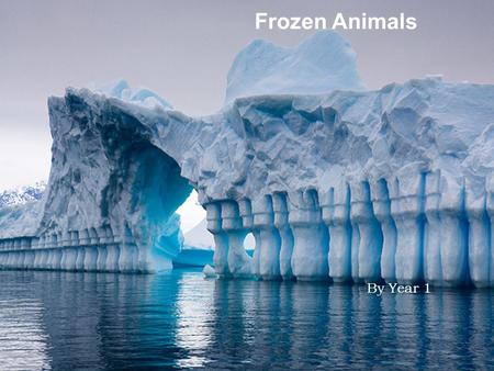 Frozen Animals By Year 1.