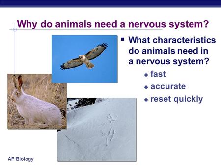 Why do animals need a nervous system?