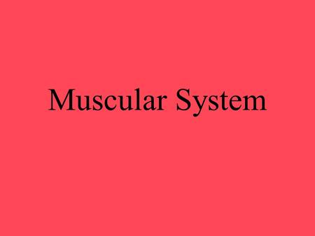 Muscular System. What are four other functions of muscles besides helping you move?