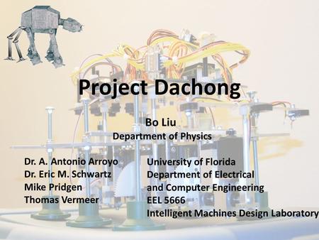 Project Dachong Bo Liu Department of Physics Dr. A. Antonio Arroyo