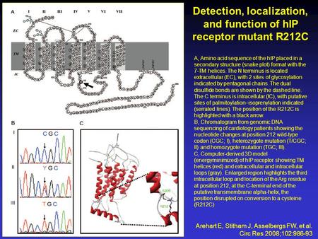 Detection, localization, and function of hIP receptor mutant R212C Arehart E, Stitham J, Asselbergs FW, et al. Circ Res 2008;102:986-93 A, Amino acid sequence.